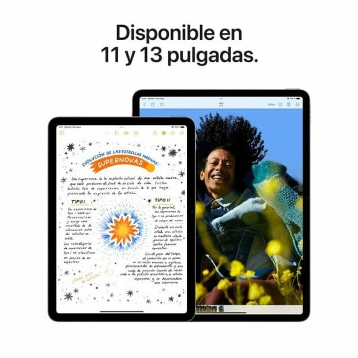 Tablet Apple MV6U3TY/A 13" 8 GB RAM 128 GB M2 Purple