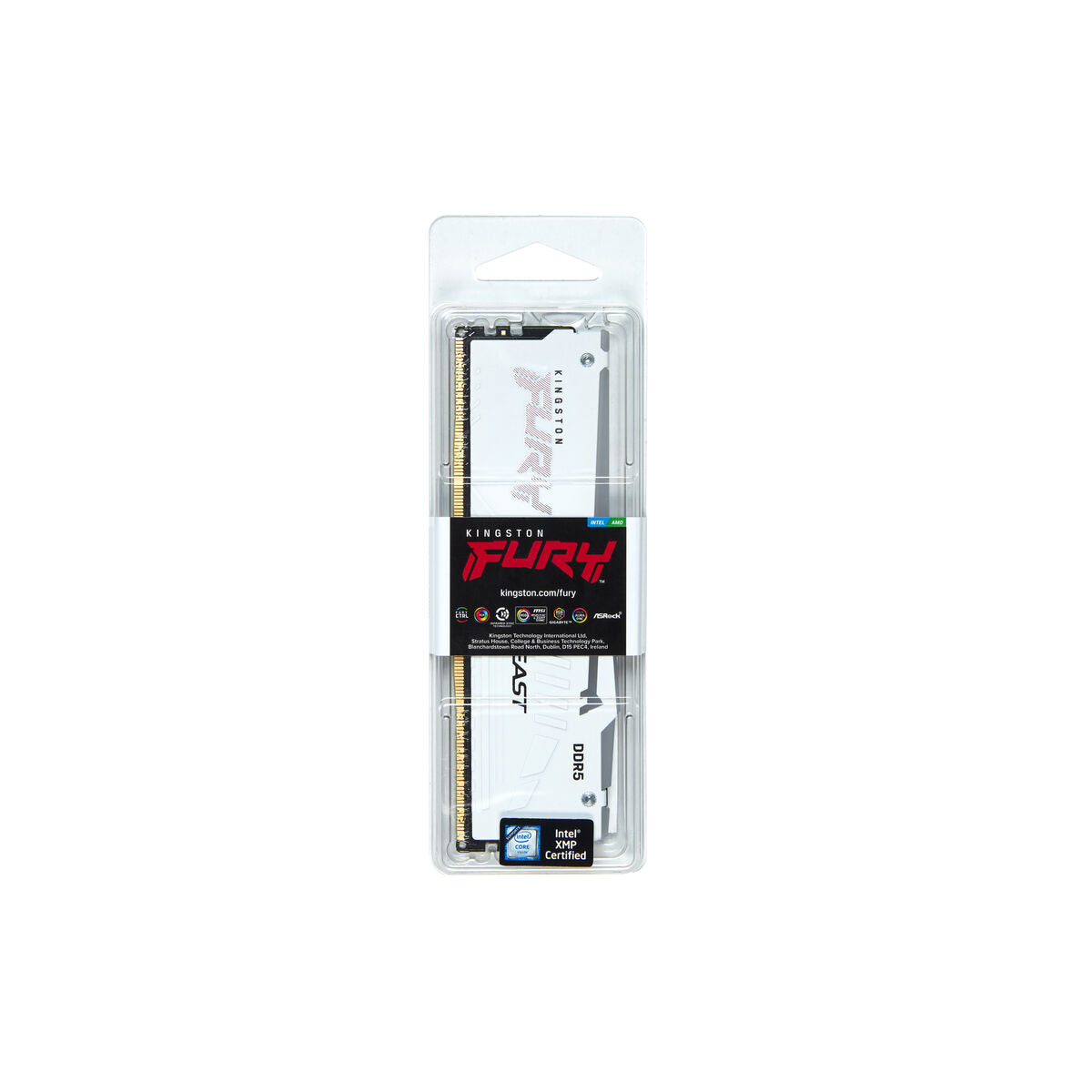 RAM Memory Kingston KF556C36BWEA-32 32 GB DDR5 SDRAM DDR5