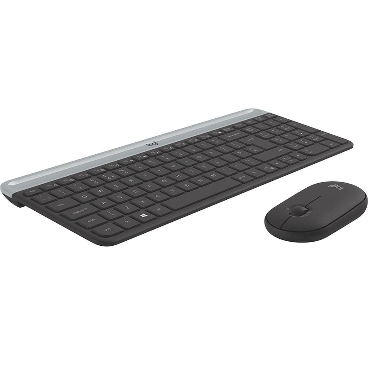 Keyboard and Mouse Logitech 920-009196 Black QWERTY