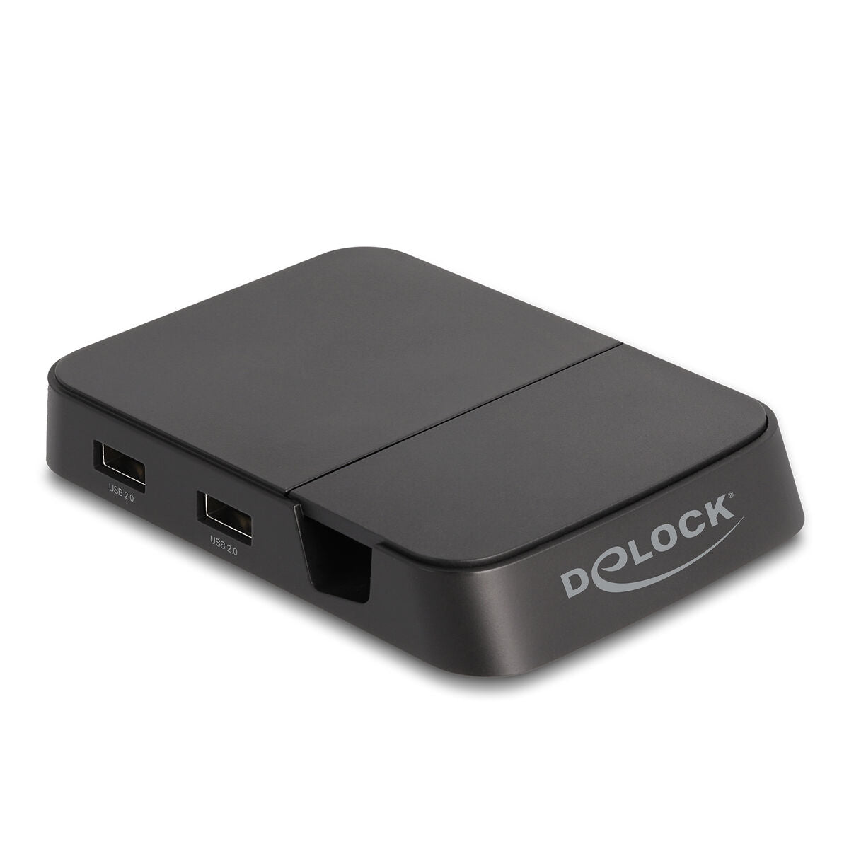 Dock/Charging base DELOCK 88018 Black