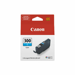 Original Ink Cartridge Canon 300