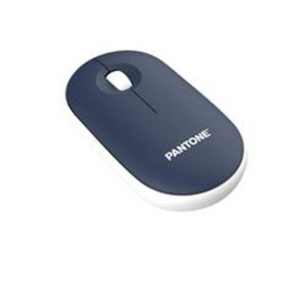 Wireless Mouse Celly PT-MS001N1