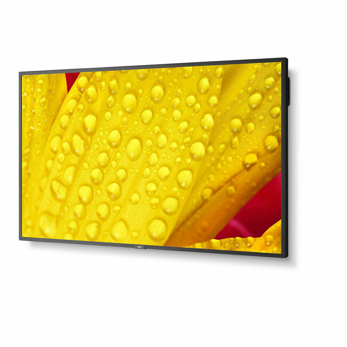 Videowall Monitor NEC ME651 4K Ultra HD 65"