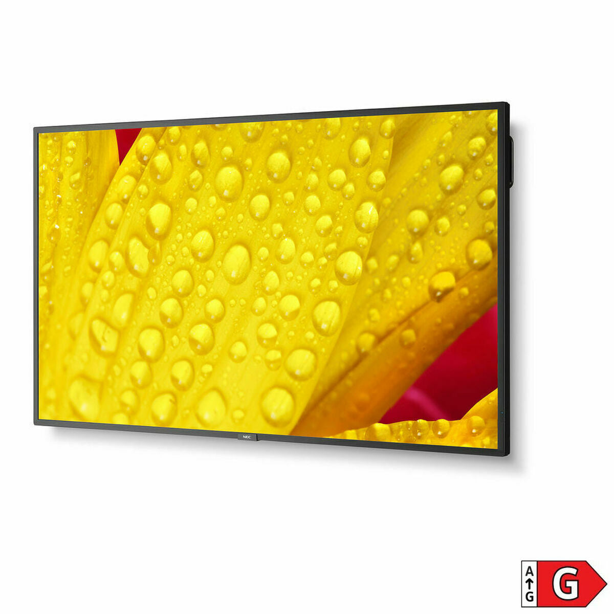 Videowall Monitor NEC ME651 4K Ultra HD 65"