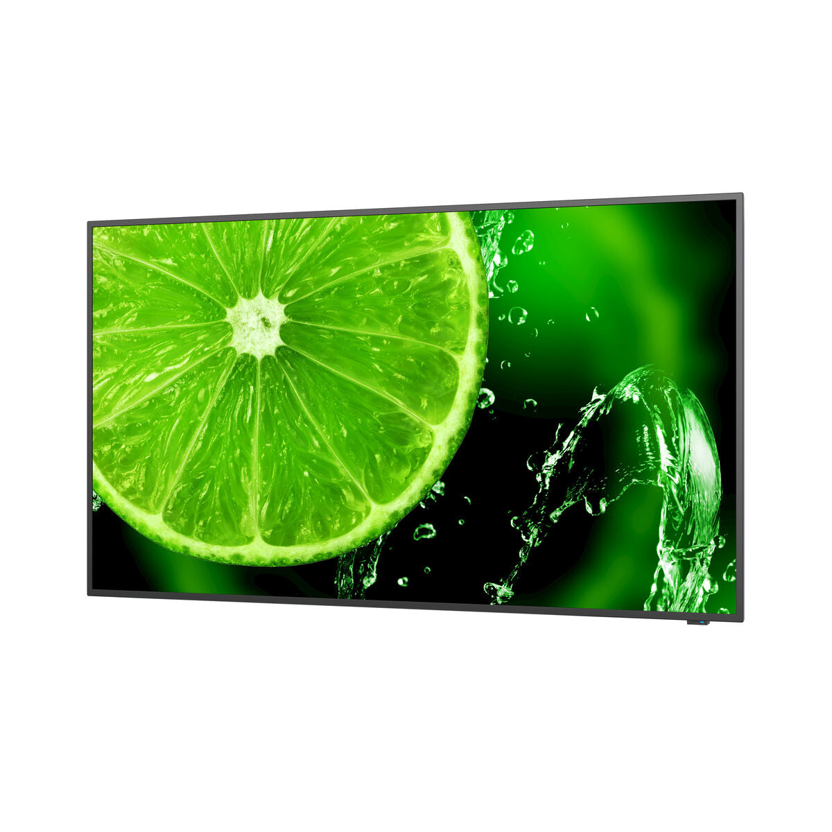 Monitor NEC 60005052 49" IPS LED