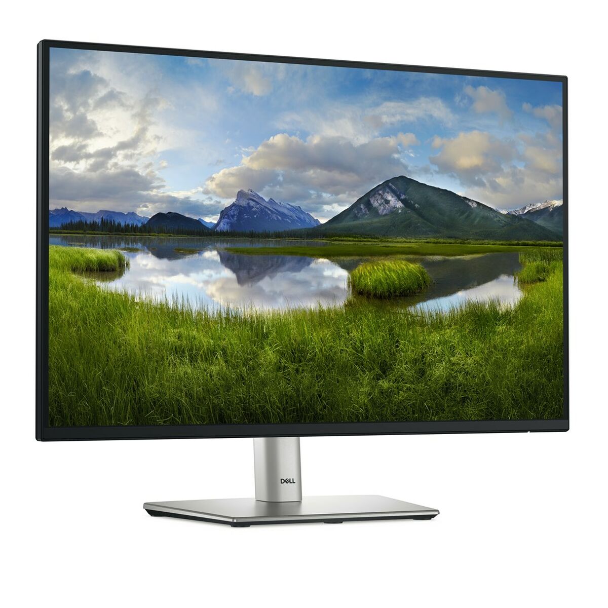 Monitor Dell P2425  24,1" HD WUXGA 100 Hz