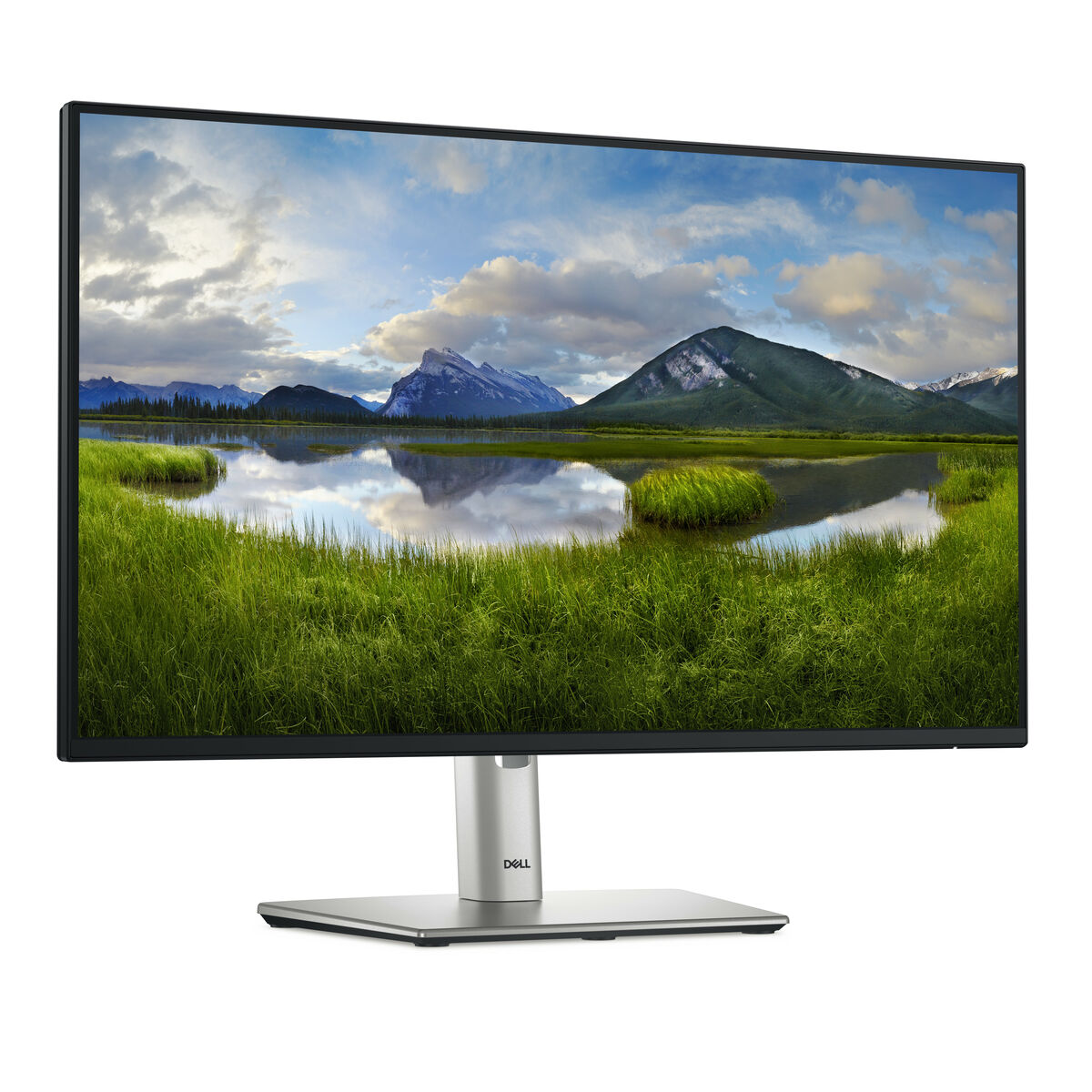 Monitor Dell P2425H 23,8" Full HD 100 Hz