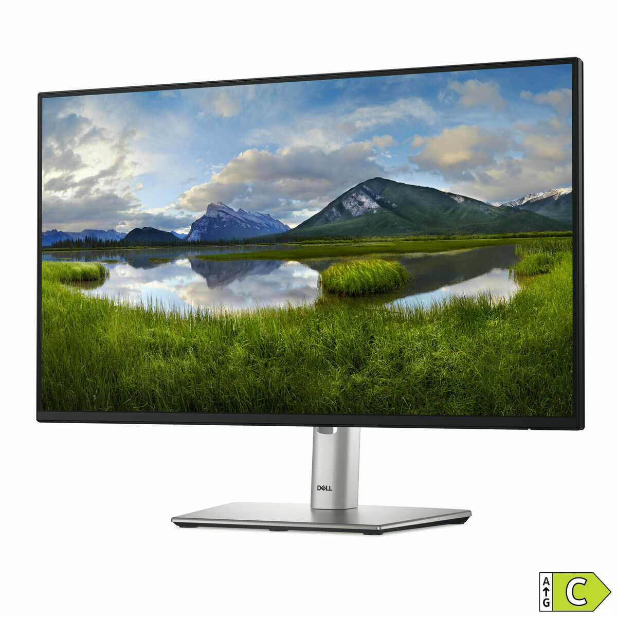 Monitor Dell P2425H 23,8" Full HD 100 Hz