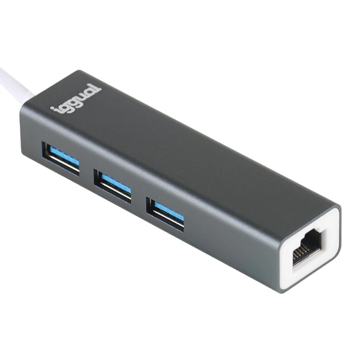 USB-C Hub iggual IGG319253 Black Grey