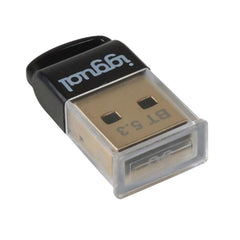 USB Hub iggual IGG319383