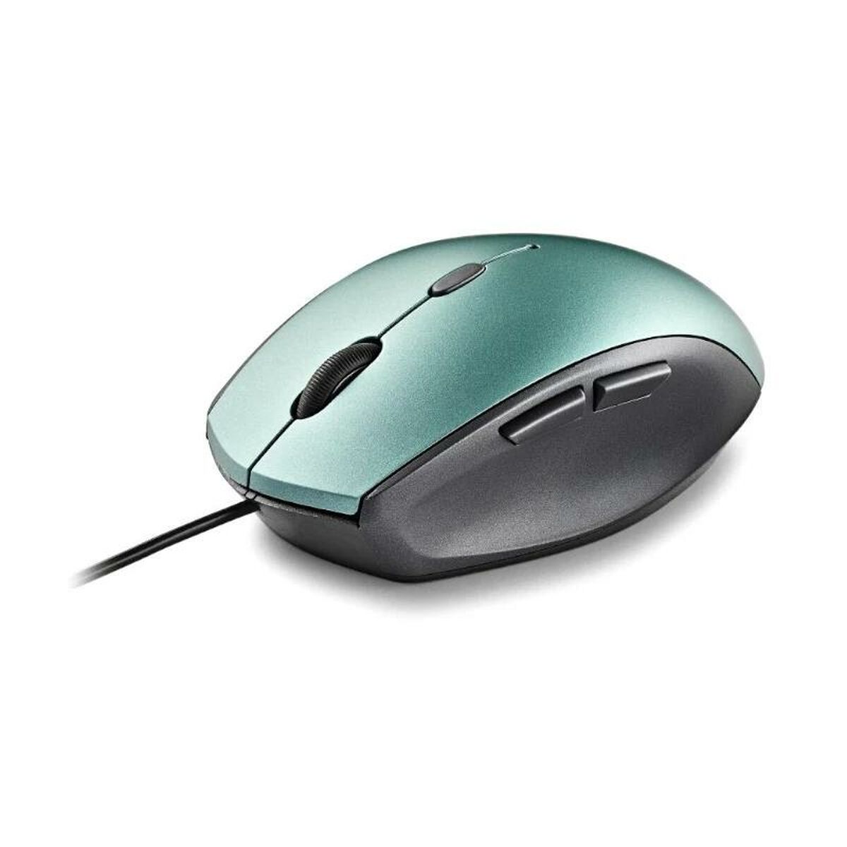 Mouse NGS ERGO Blue