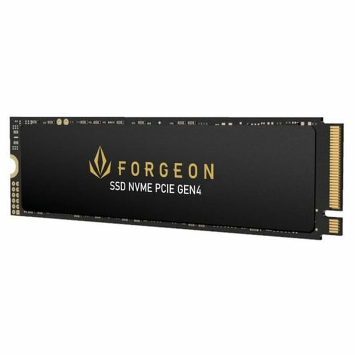 Hard Drive Forgeon 4 TB SSD