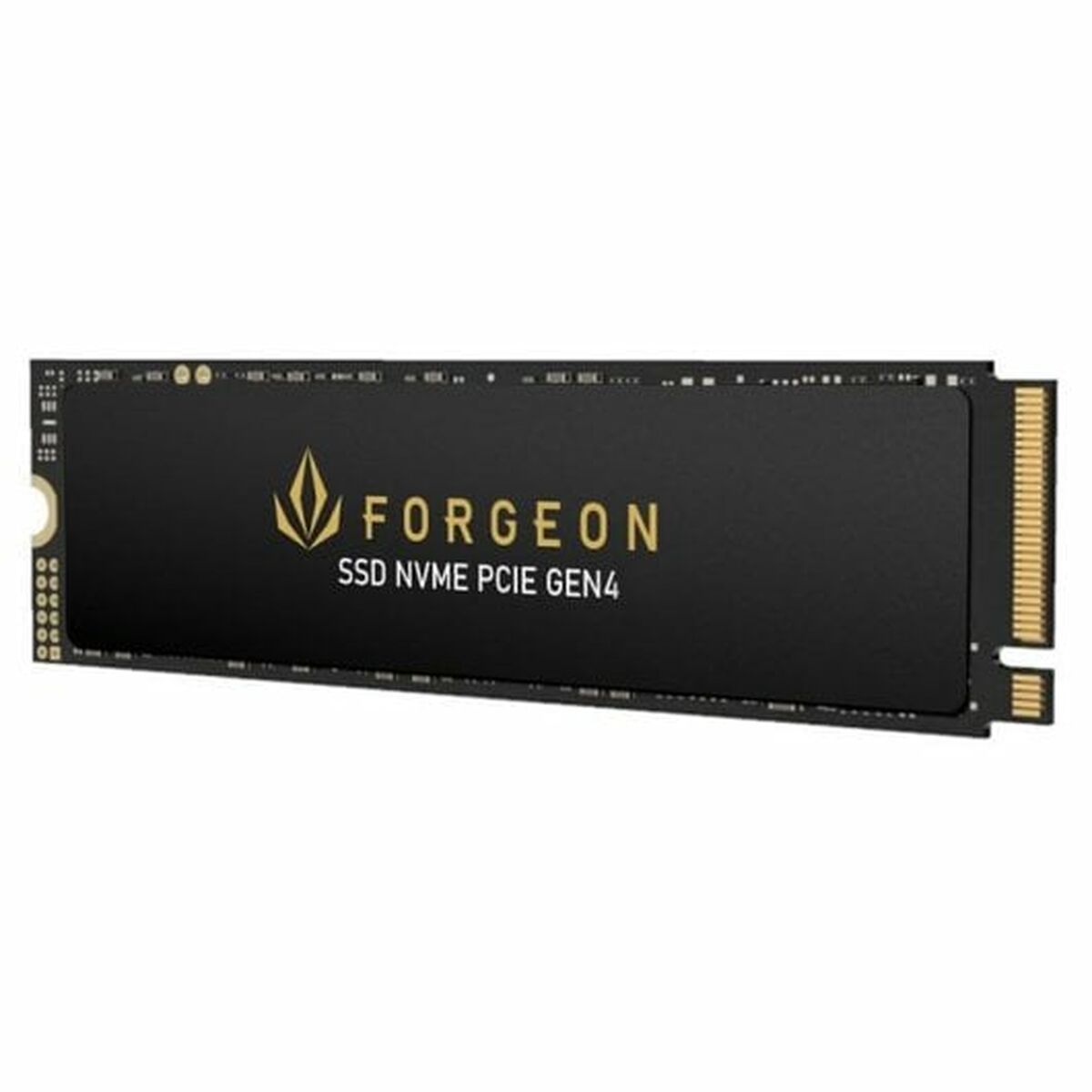 Hard Drive Forgeon 1 TB SSD