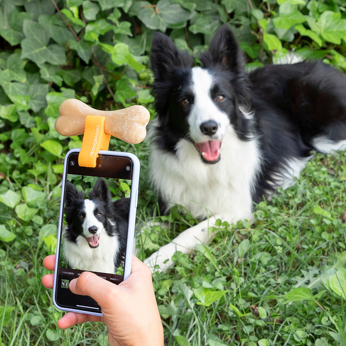 Selfie Clip for Pets Pefie InnovaGoods